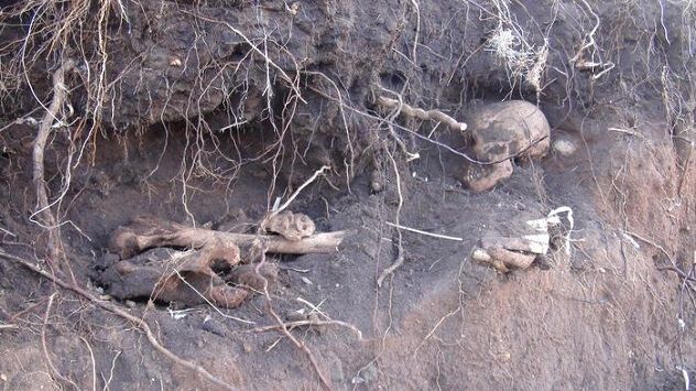 Giallo dello scheletro trovato a Pineta Mugoni: un omicidio dietro quelle ossa