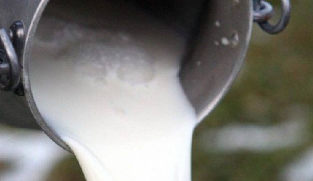 La crisi del latte, la Sardegna, i pastori