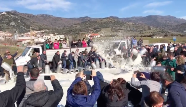 Latte, monta la protesta nel Nord Sardegna, raduno a Thiesi 
