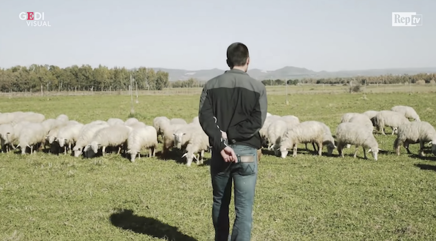 La vita di un pastore: 