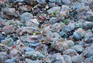 “Stintino Plastic free”: una campagna per la promozione del rispetto dell’ambiente