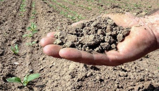 Coldiretti: “Agricoltori in ginocchio, accelerare la liquidazione della siccità”