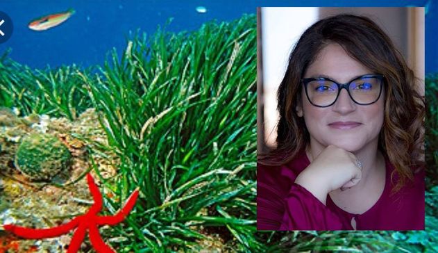 Posidonia oceanica, arriva la proposta di legge della deputata Paola Deiana