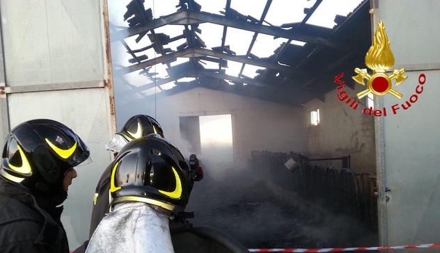 Incendio distrugge azienda agricola, morte una settantina di pecore