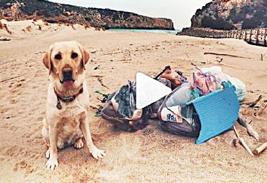 “Guarda, un cane in spiaggia, adesso sporca tutto. No, Farah ‘pulisce’ la vostra inciviltà