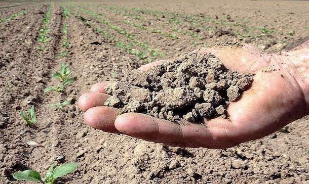 Coldiretti Sardegna: “Oltre 500 giorni di attesa degli agricoltori per la siccità”