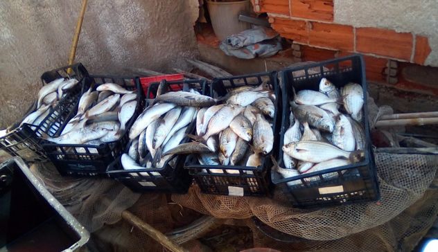 Pesca abusiva nel Calich, 180 kg di pesce in beneficenza alla Caritas