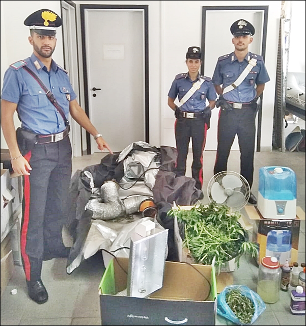 Dentro casa aveva allestito una serra artigianale di marijuana: arrestato dai Carabinieri