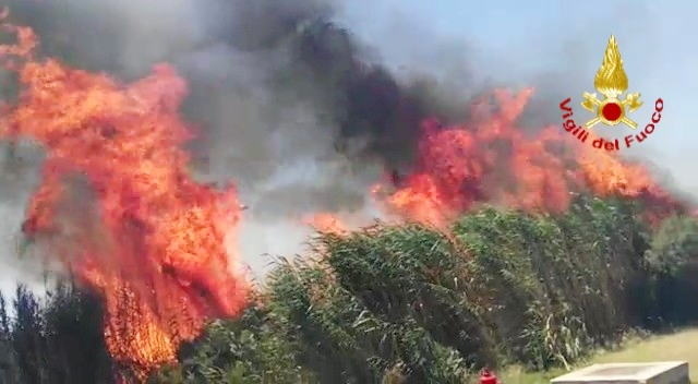 Ancora fiamme a Molentargius, i roghi minacciano anche le case. Sul posto i Vigili del Fuoco, volontari e Protezione Civile