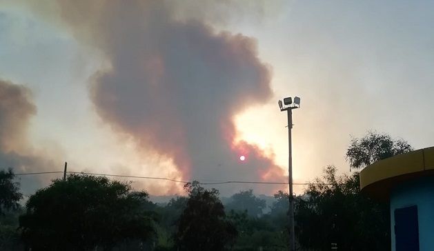 La denuncia di Coldiretti Nuoro Ogliastra: “A luglio in provincia oltre 2 incendi al giorno. Sabato 13 luglio il picco”