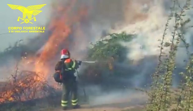 Luras, incendio in località Toveddu: operazioni di spegnimento in corso