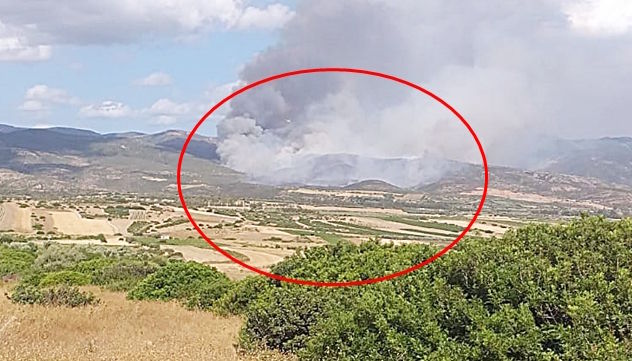 Sardegna nella morsa degli incendi: ieri mezzi aerei della Forestale in azione a Urzulei, Pula, Domus De Maria, Berchideddu e Maracalagonis