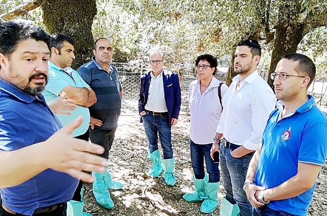 La Lega incontra gli allevatori del suinicolo sul territorio: ”Proposta di legge per valorizzare un settore fondamentale”