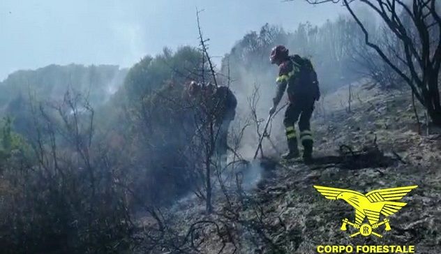 Incendi a Loiri Porto San Paolo e Maracalagonis, sul posto i mezzi aerei della Forestale