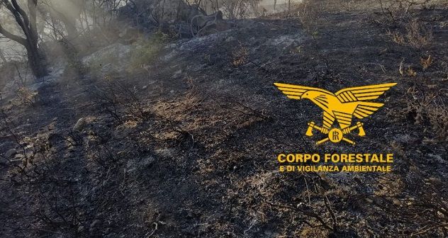  Non si fermano gli incendi: fiamme a Nuoro, Abbasanta, Mamoiada, Burgos e Torpè