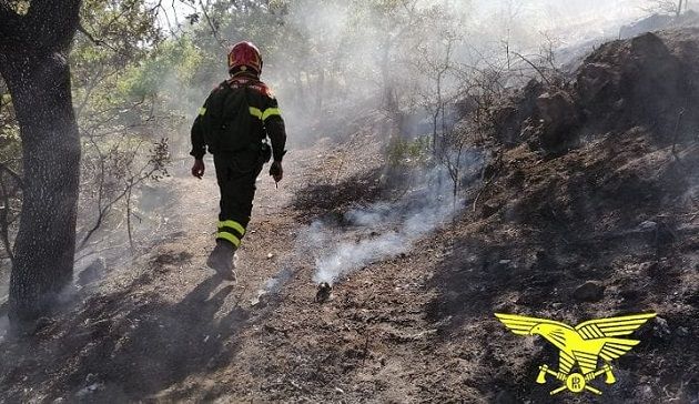 Incendi a Luras, Berchidda e Sarule: mezzi aerei della Forestale in azione