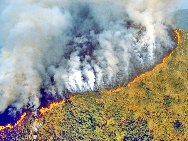 Amazzonia: record di incendi, 72mila da gennaio. Marina Silva: “Situazione fuori controllo”