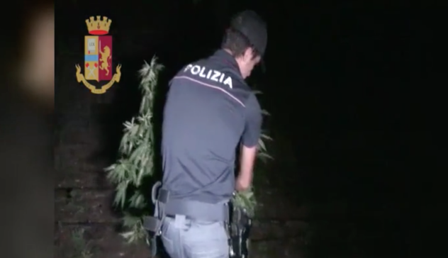 La Polizia scopre una piantagione di marijuana: arrestato 19enne