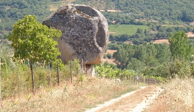 Alla scoperta dei vini di Atzara lungo il sentiero naturalistico 