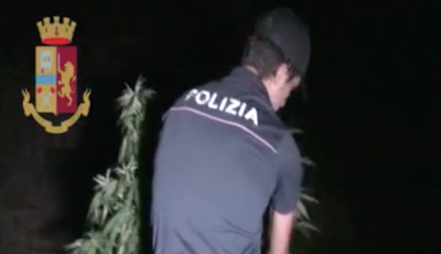 Coltivavano piante di marijuana: arresti a Oliena e Fonni. VIDEO