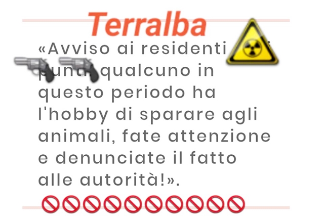 Orrore a Terralba, cane sparato con i pallini. Anta Onlus: “Presentata una denuncia dai Carabinieri”