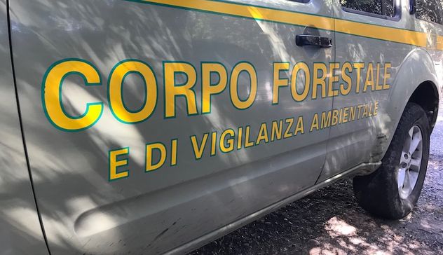 Il Corpo forestale individua e sequestra una discarica abusiva a Villa San Pietro 