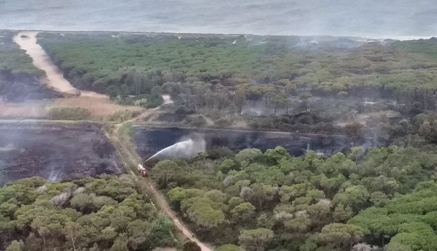 Incendio nella pineta di Arborea: c'è un indagato, rischia 10 anni