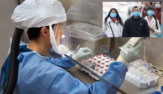 Coronavirus, Il Governo cinese comunica: 