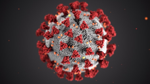 Coronavirus: salgono a 43 i casi positivi in Sardegna