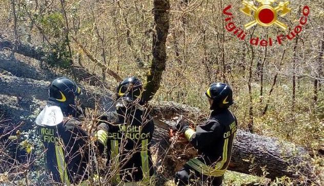 Tragedia a Lodine: muore schiacciato da un albero