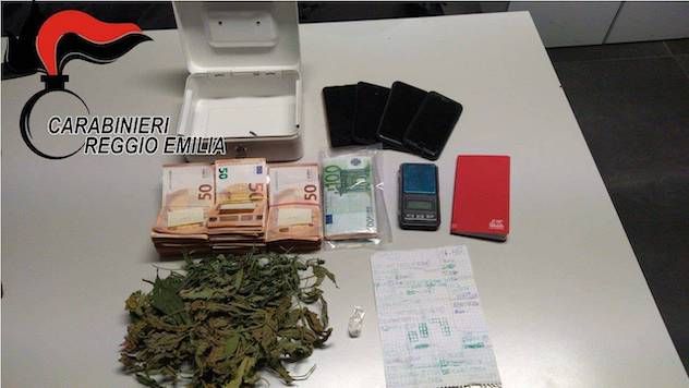 Strafatti di cocaina “vedono” dei ladri, chiamano i carabinieri e trovano una serra di marijuana