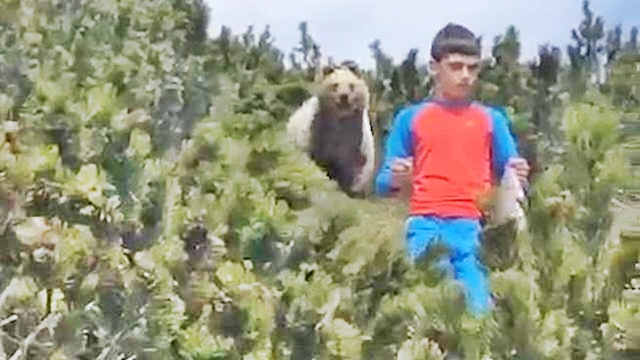 Il bambino incontra l’orso che lo segue, il video diventa virale sul web