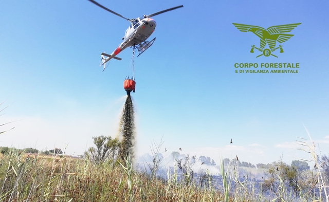 Rogo divora le campagne di Carbonia, sta intervenendo anche l’elicottero della Forestale
