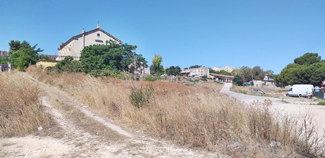 Paura roghi tra i residenti di Is Mirrionis e San Michele: erbacce accanto alle case. Video