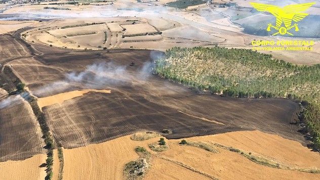 Incendi: sono 24 quelli registrati nella giornata di oggi in Sardegna