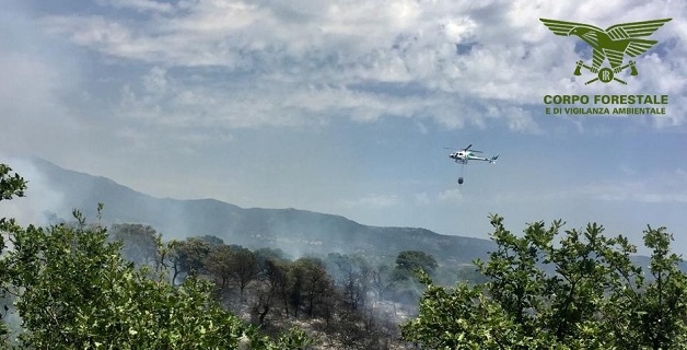 Incendio in agro di Telti, l'intervento del Corpo forestale