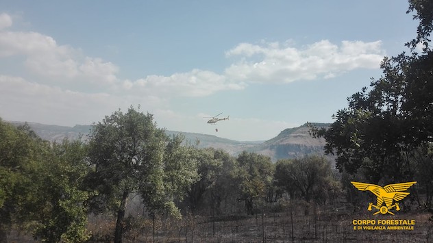 Incendio nelle campagne di Dolianova: in corso le operazioni di spegnimento