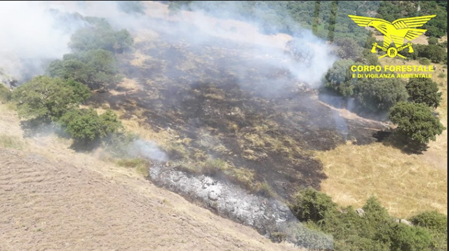 Giornata di fuoco in Sardegna, 28 gli incendi di oggi, 8 dei quali spenti con i mezzi aerei della Forestale