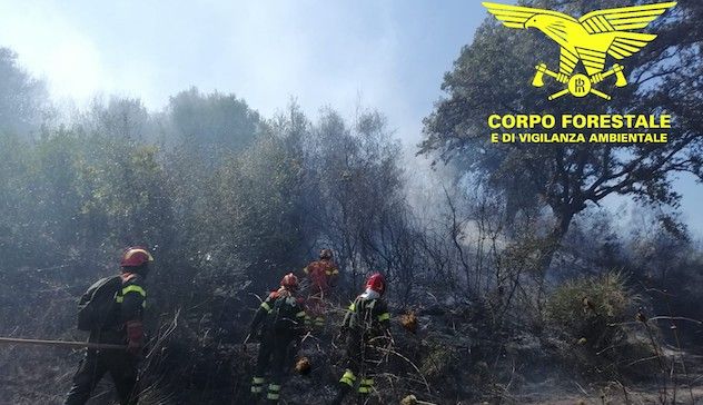 Incendi in Sardegna: 22 nella giornata di oggi 