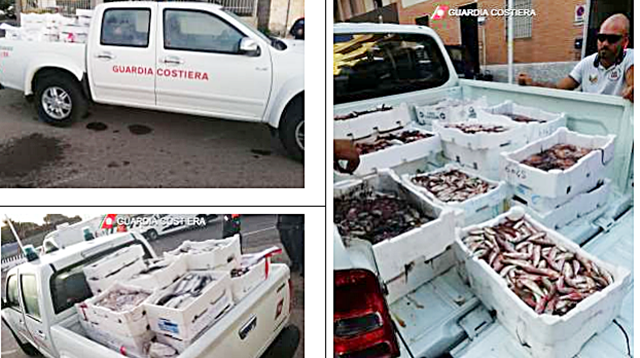 Blitz della Guardia Costiera, sequestrati oltre 300 Kg di pesce irregolare: era destinato ai ristoranti locali