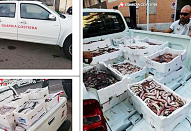Blitz della Guardia Costiera, sequestrati oltre 300 Kg di pesce irregolare: era destinato ai ristoranti locali