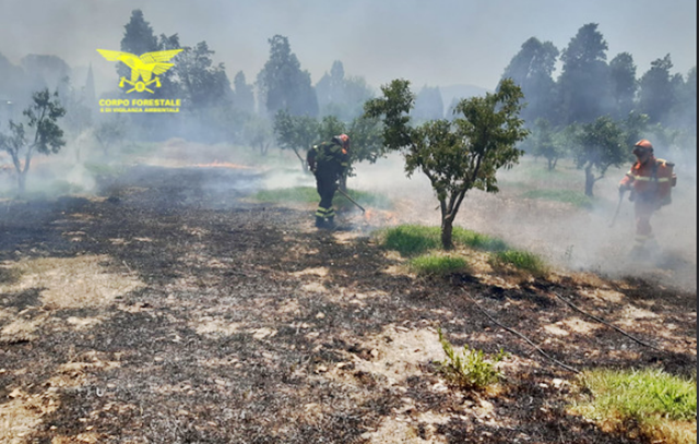 La Sardegna brucia, il caldo torrido non aiuta: 21 gli incendi di oggi, 6 spenti con i mezzi aerei della Forestale
