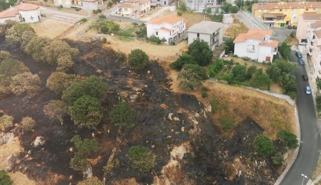 Incendi a Sarule e Orgosolo: in fumo 100 ettari. Animali arsi vivi