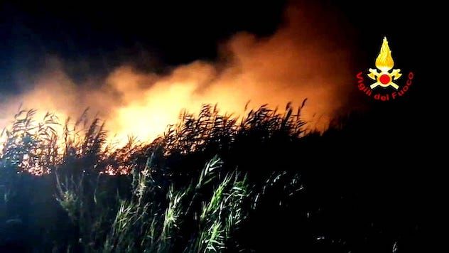 Incendi: notte di lavoro nell’hinterland cagliaritano per i Vigili del fuoco