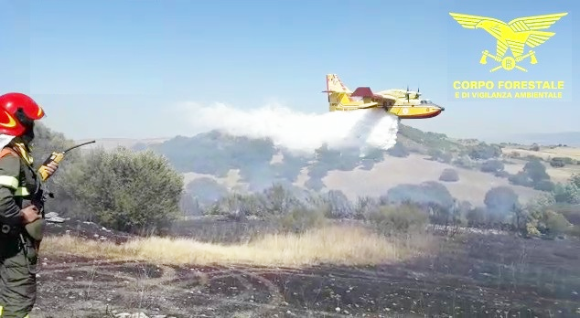 Roghi a Bonorva, Uri e Sarule: mezzi aerei impegnati per lo spegnimento delle fiamme