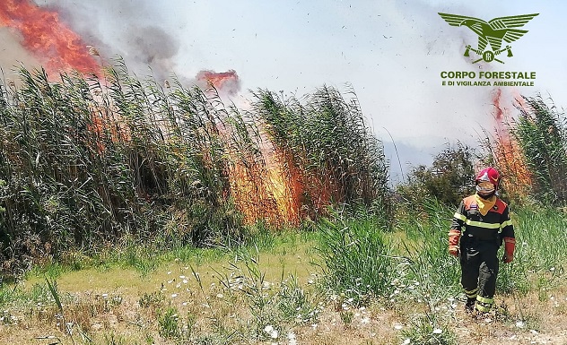 Allarme a Sassari: il Corpo forestale alle prese con un incendio