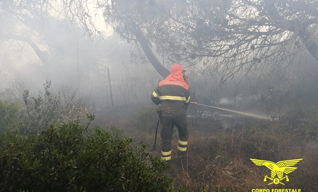 Ancora fiamme a Bottidda, seconda giornata di fuoco