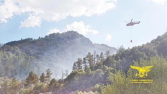 Piromani non risparmiano la nostra Isola, 20 gli incendi di ieri: Forestale impegnata anche con i mezzi aerei