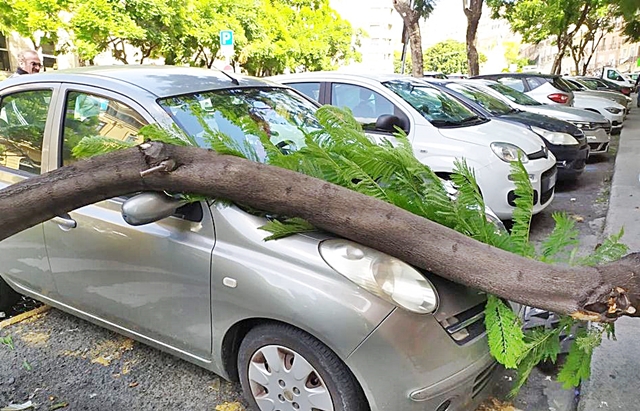 Tragedia sfiorata nel Largo Carlo Felice, grosso ramo di un albero cade su un’auto