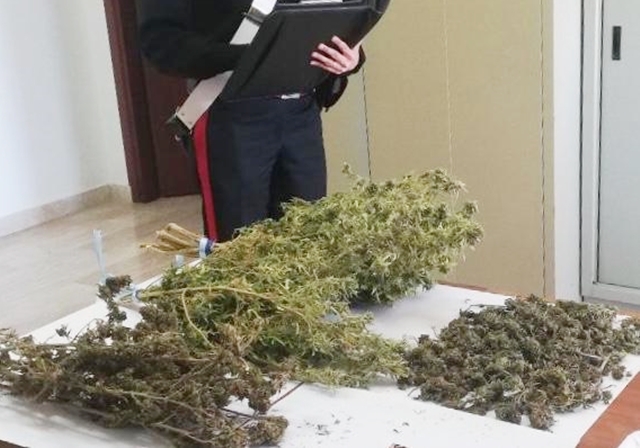 In casa con un chilo di marijuana: denunciato dai Carabinieri
